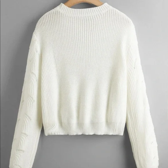 🤩host pick!🤩Pointelle knit ivory sweater - Picture 2 of 6